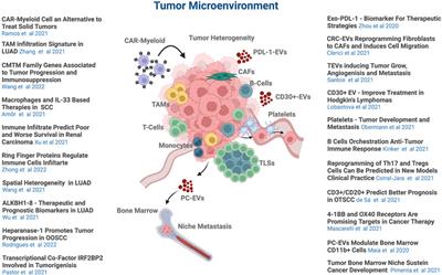 Editorial: Tumor microenvironment (TME) and tumor immune microenvironment (TIME): New perspectives for prognosis and therapy